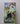 [5 Box] Pokemon Card Sword & Shield Paradigm Trigger Booster Box Korean Express